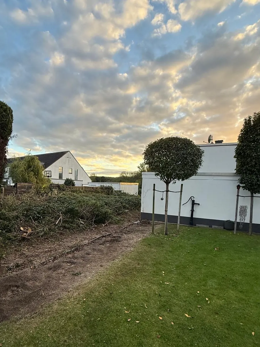 Freigeräumter Streifen neben dem Rasen, wo vorher die Hecke stand
